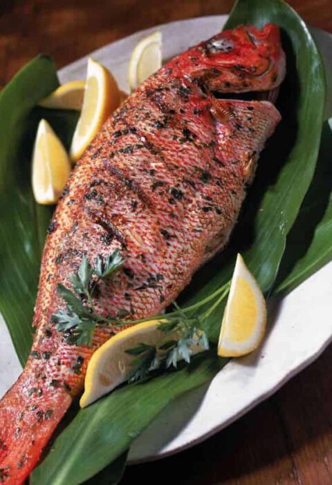 Longjaw Mud Snapper Recipe