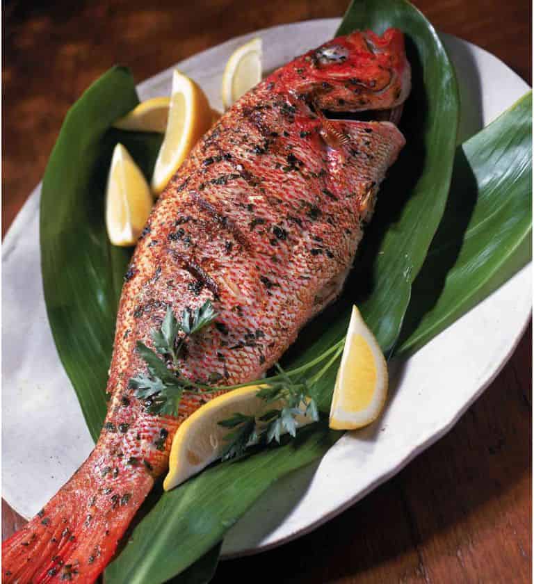 Longjaw Mud Snapper Recipe