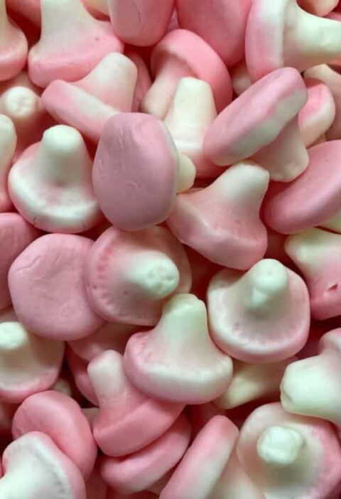 Mushroom Gummy Recipe